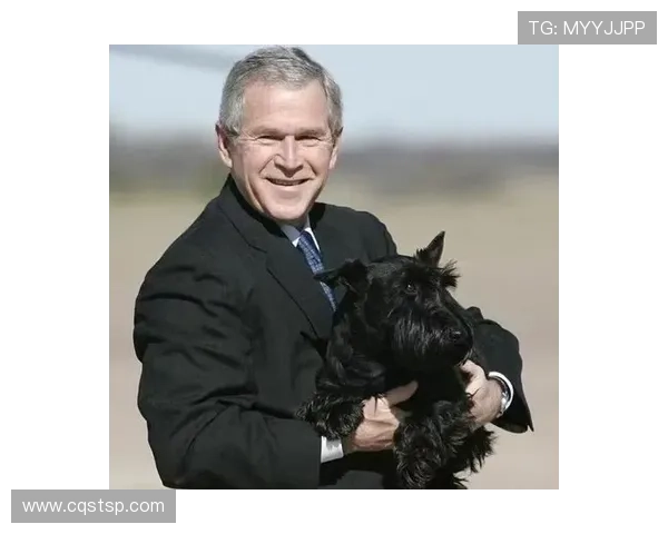 足球球星最宠爱的爱犬排名第一揭晓背后的温情故事